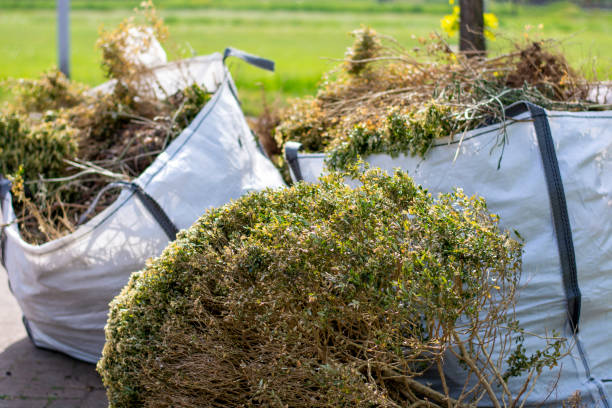 Best Mattress Removal Service  in Cohoe, AK